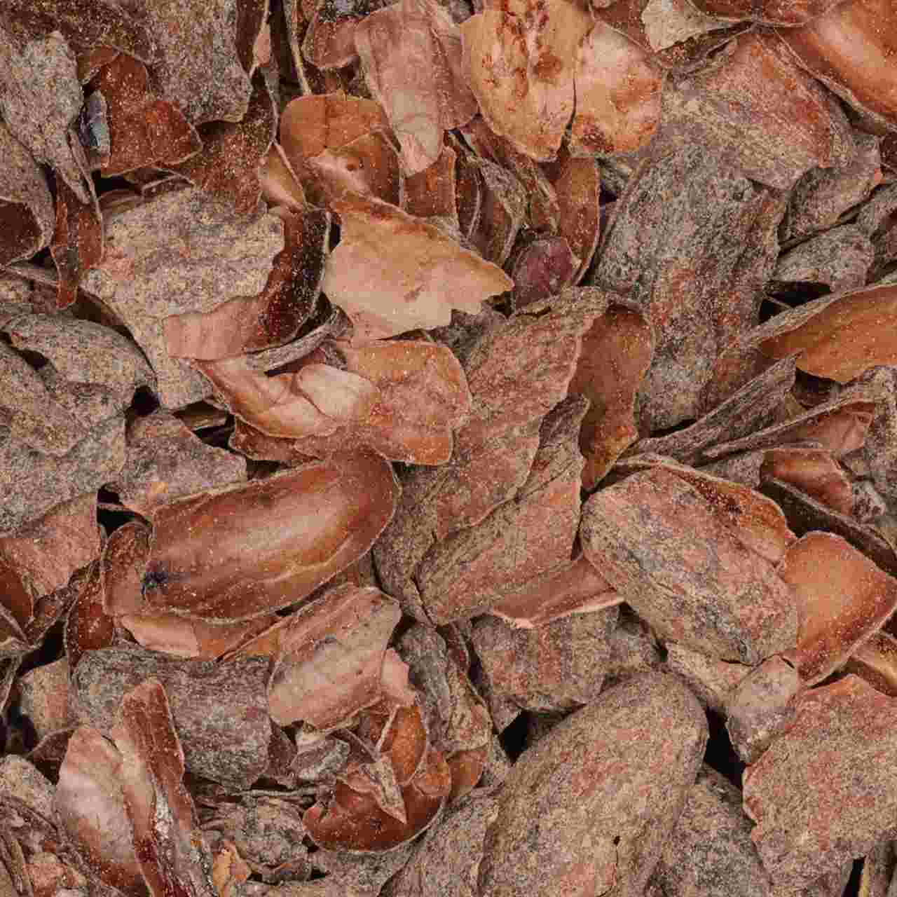 Cacaodoppen van De Theefabriek, 1x 4kg